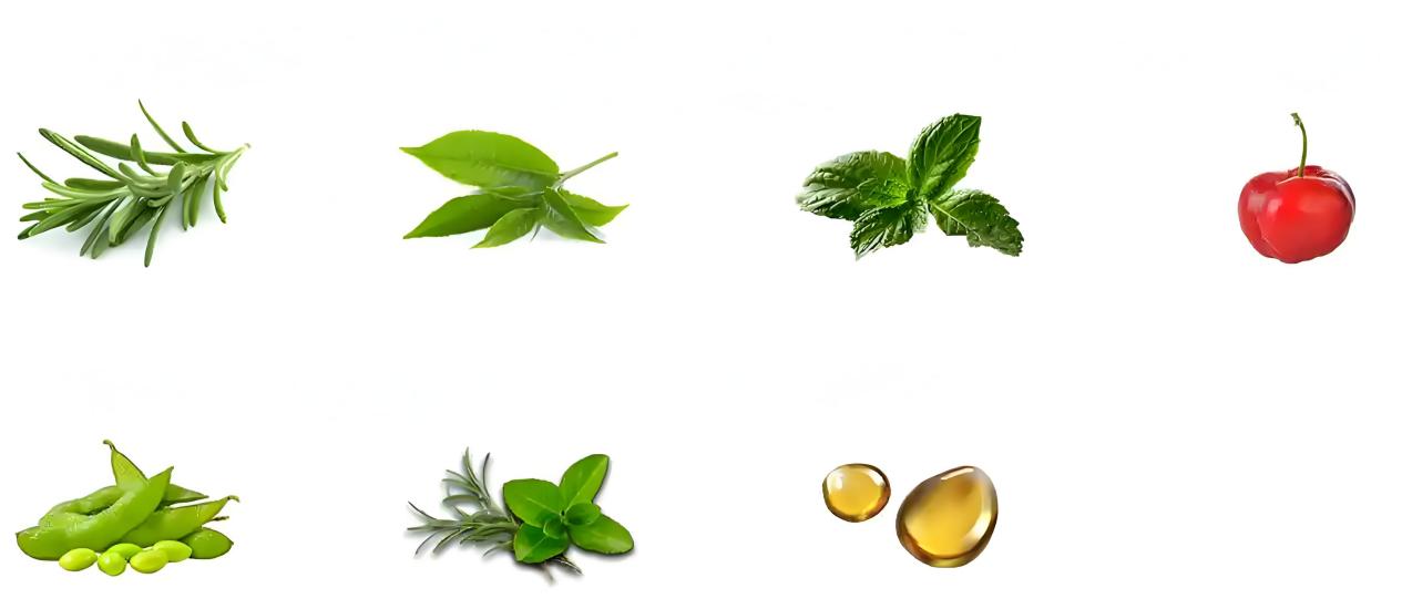 Amino acids, Herb and Botanical Extracts, Vitamins and Minerals, Protein, Probiotics