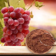 Grape Seed Extract
