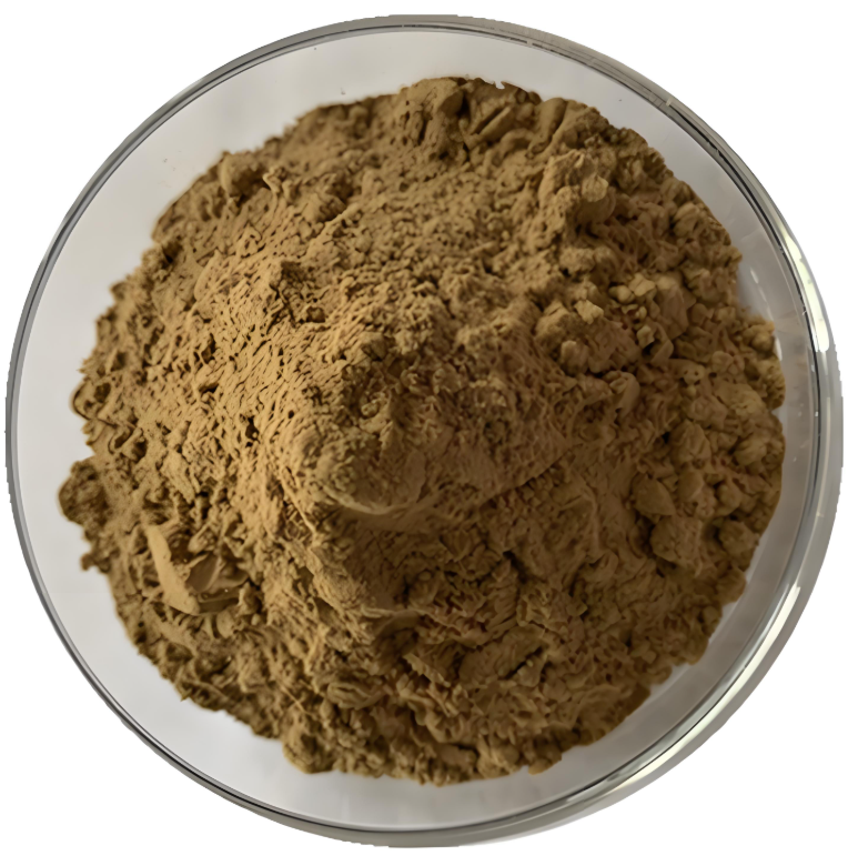 Ajuga Extract