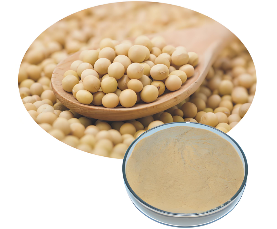 Soybean extract