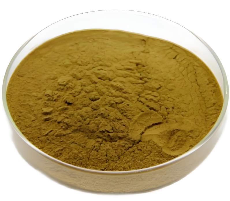 Maca Extract