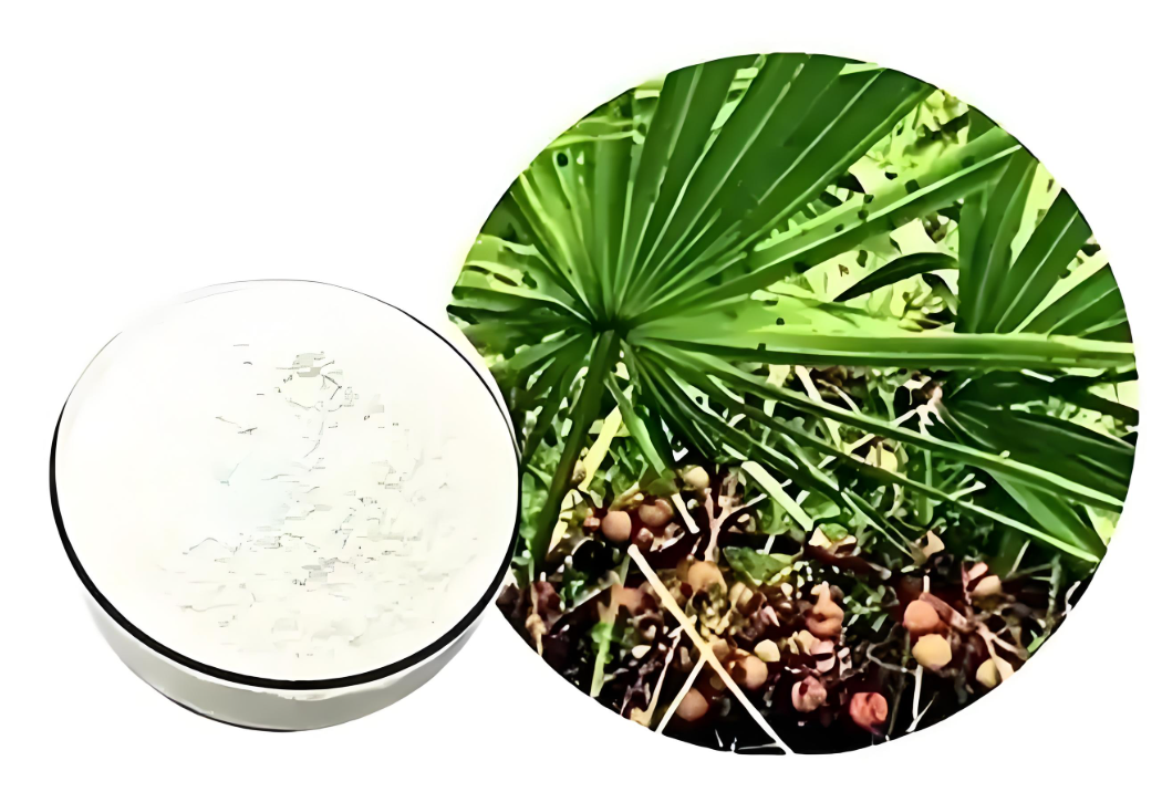 Saw Palmetto Extract