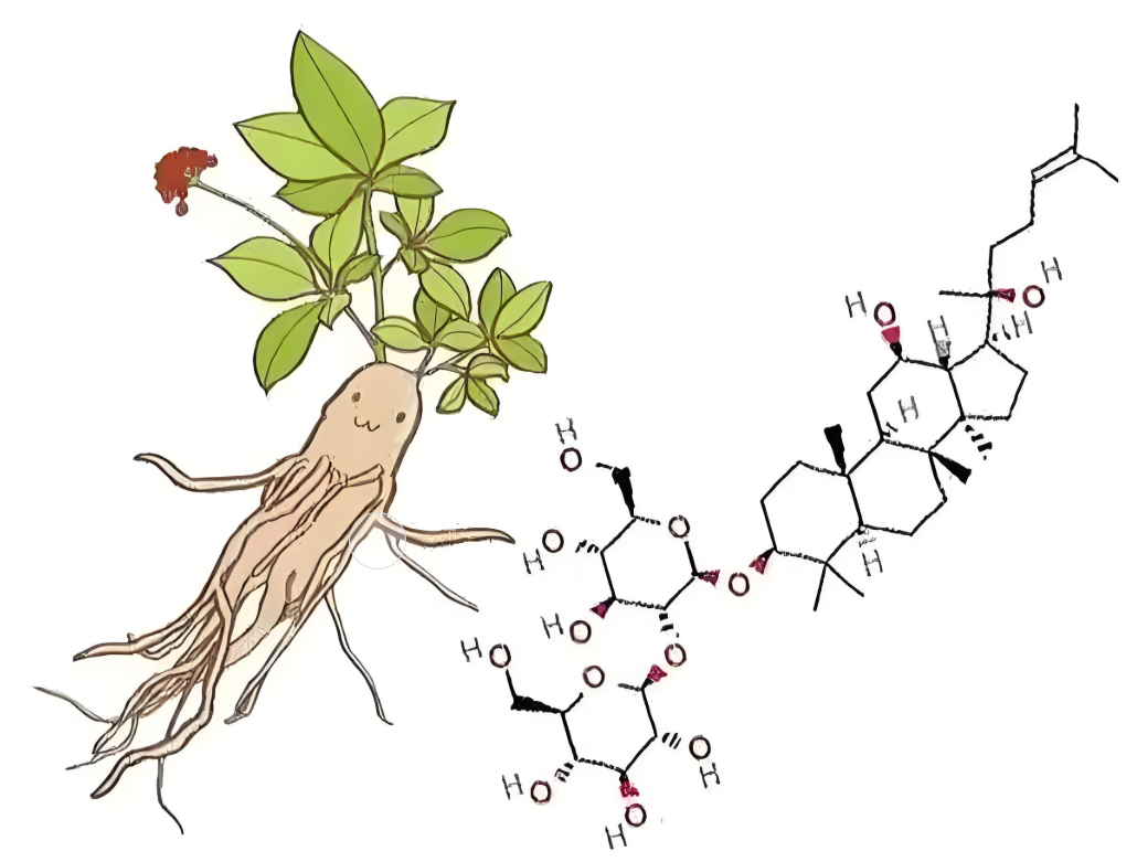 Ginsenosides