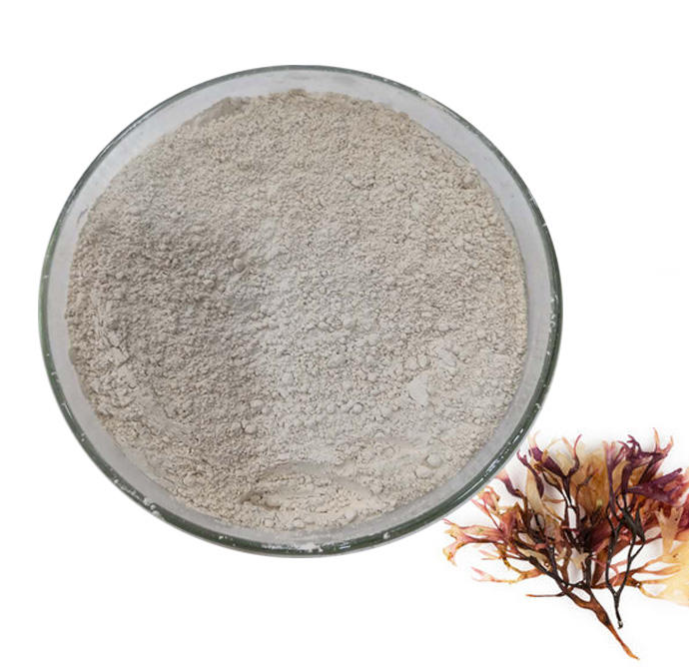 Irish Moss Extract