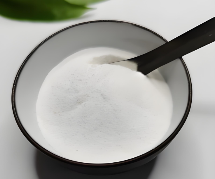 Lactobacillus powder
