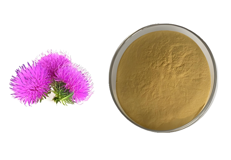 Milk Thistle Extract