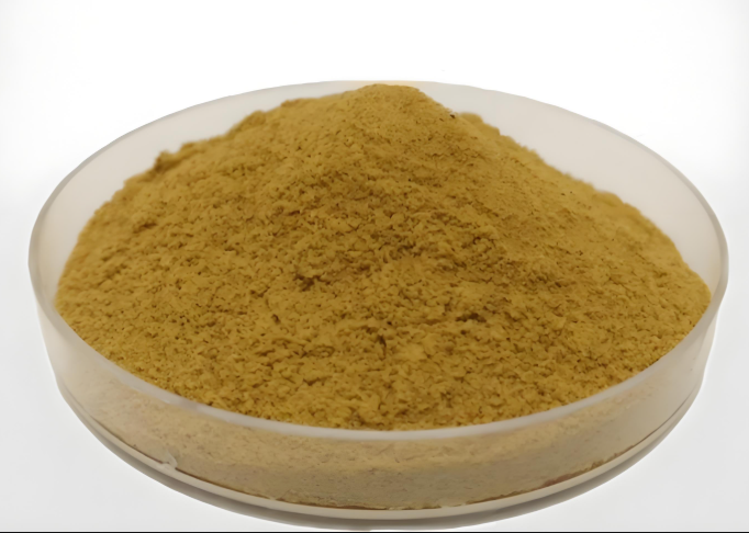Uva Ursi Extract