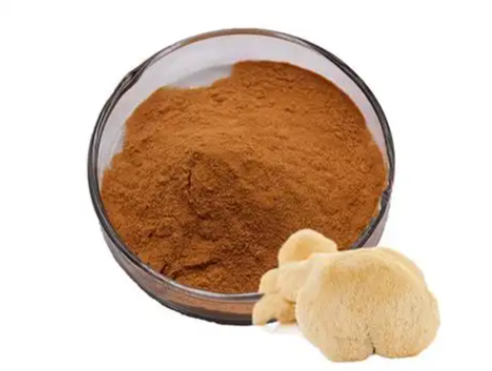 Lion's Mane Mushroom Extract