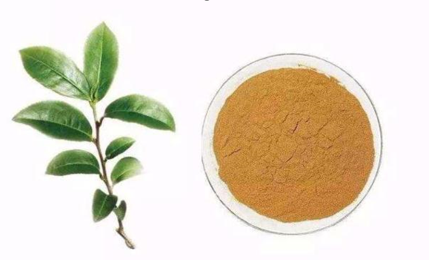 L-theanine