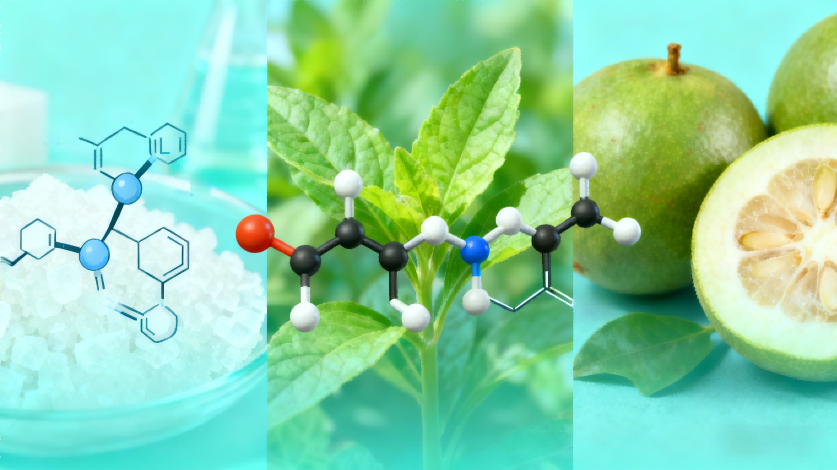 Sucralose vs. Stevia vs. Monk Fruit Extract