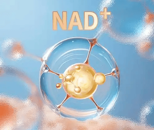 NAD+ vs. NADH